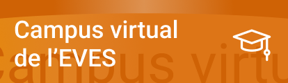 Acces al Campus Virtual del EVES